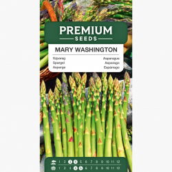 Szparag - Mary Washington