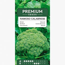 Brokuł Ramoso Calabrese
