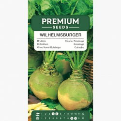 Brukiew Wilhelmsburger