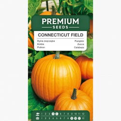 Dynia Connecticut Field