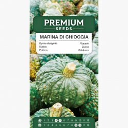 Dynia Marina di Chioggia