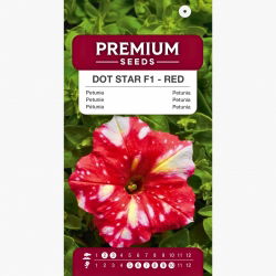 Petunia Dot Star F1 - Red