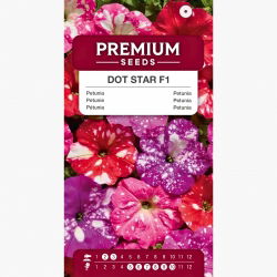 Petunia Dot Star F1 - Mix