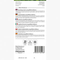 Cebula siedmiolatka - zielona - 675 nasion