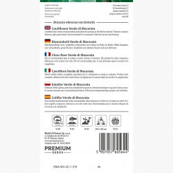 Kalafior Verde di Macerata - o róży zielonej - 54 nasion