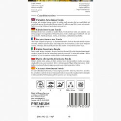 Dynia Americana Tonda