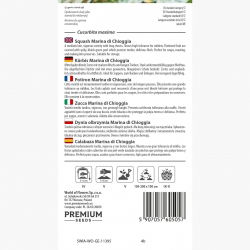 Dynia Marina di Chioggia