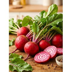 Burak ćwikłowy Tonda di Chioggia - pasiasty, biało-czerwony miąższ, dekoracyjny, idealny do spożycia na surowo