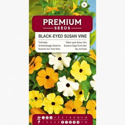 Tunbergia (mieszanka) - 20 nasion