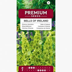 Dzwony irlandzkie - 160 nasion