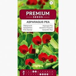 Głąbigroszek - 23 nasion