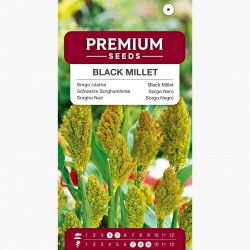 Sorgo czarne - 60 nasion