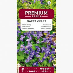 Fiołek Wonny ( Viola Odorata ) - 120 nasion