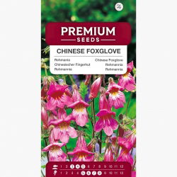 Rehmania - 500 nasion