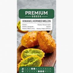 Kiwano, ogórek afrykański - 18 nasion