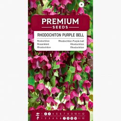 Rodochiton - 6 nasion