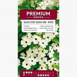 Tunbergia biała - 20 nasion