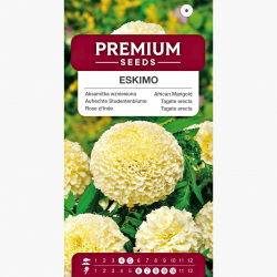 Aksamitka niska - waniliowa - 0,2 gnasion