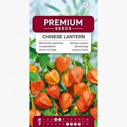 Miechunka ogrodowa - 165 nasion