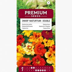 Nasturcja pełna karłowa - 24 nasion