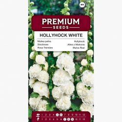 Malwa pełna biała - 50 nasion