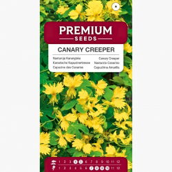 Nasturcja Kanaryjska - 22 nasion