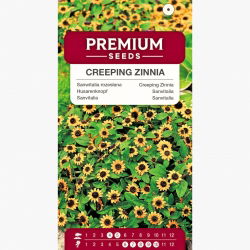 Sanwitalia rozesłana - 570 nasion