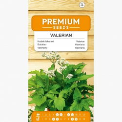 Kozłek lekarski - 280 nasion