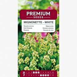 Rezeda wonna - 1600 nasion