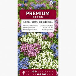 Głowienka wielkokwiatowa - 50 nasion