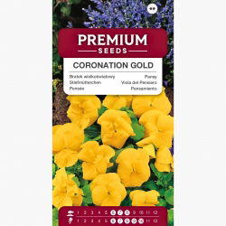 Bratek wielkokwiatowy - żółty - 400 nasion