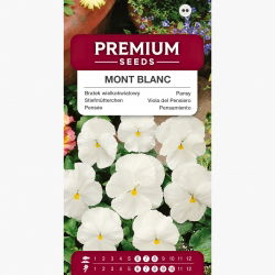 Bratek wielkokwiatowy - biały - 400 nasion
