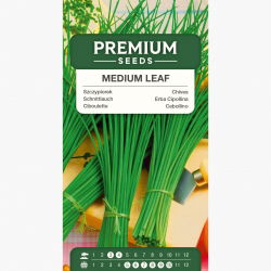 Szczypiorek - 1700 nasion