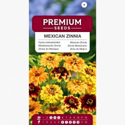 Cynia meksykańska - 375 nasion