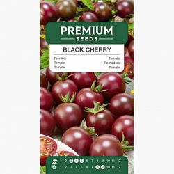 Pomidor wysoki - Black cherry - 60 nasion
