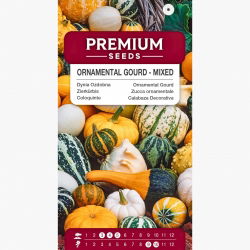 Dynia ozdobna - mieszanka - 18 nasion