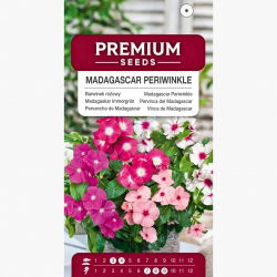 Barwinek - 120 nasion