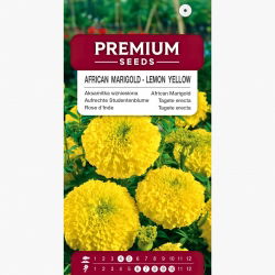 Aksamitka wzniesiona cytrynowożółta - 300 nasion