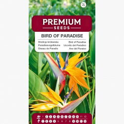 Strelicja królewska - Rajski ptak - 5 nasion