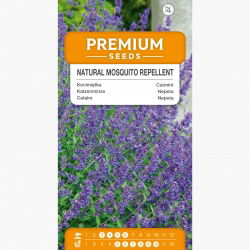 Kocimiętka odstraszająca komary - 600 nasion