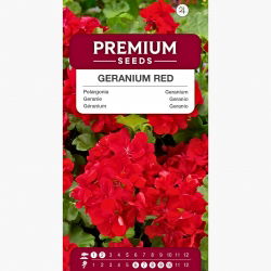 Pelargonia czerwona - 10 nasion