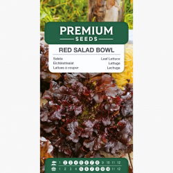 Sałata dębolistna - Red Salad Bowl - 1150 nasion