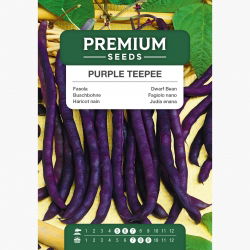 Fasola szparagowa, karłowa - Purple Teepee - 100 nasion