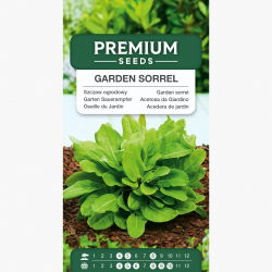 Szczaw zwyczajny - 2400 nasion