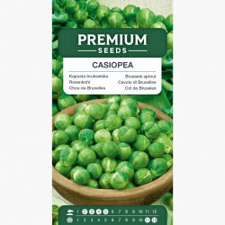Kapusta brukselska Casiopea - 640 nasion