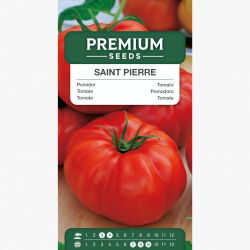 Pomidor Saint Pierre – typ malinowy - 200 nasion