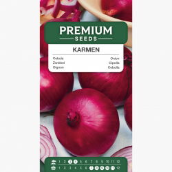 Cebula Karmen - 1875 nasion