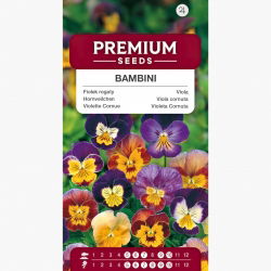 Fiołek rogaty Bambini - mieszanka - 270 nasion