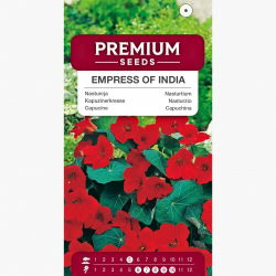 Nasturcja niska - Empress of India - 40 nasion
