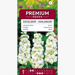 Lewkonia letnia Excelsior biała - 300 nasion